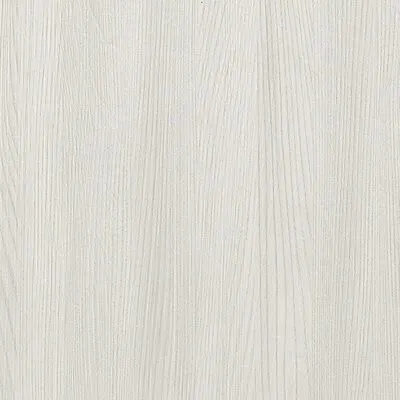 Olmo 1